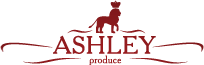 Ashly Ashly