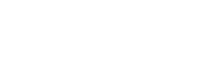 Проведение IP-аудита